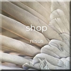 shop • nisus