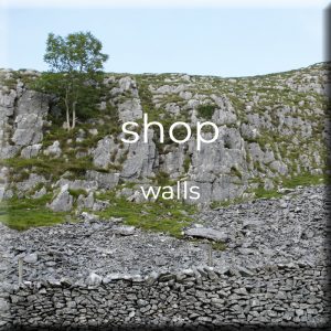 shop • walls